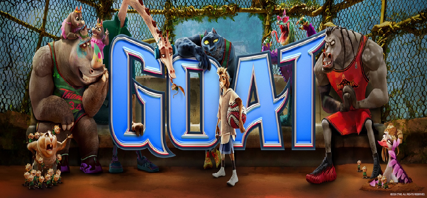 owl-carousel-video-image