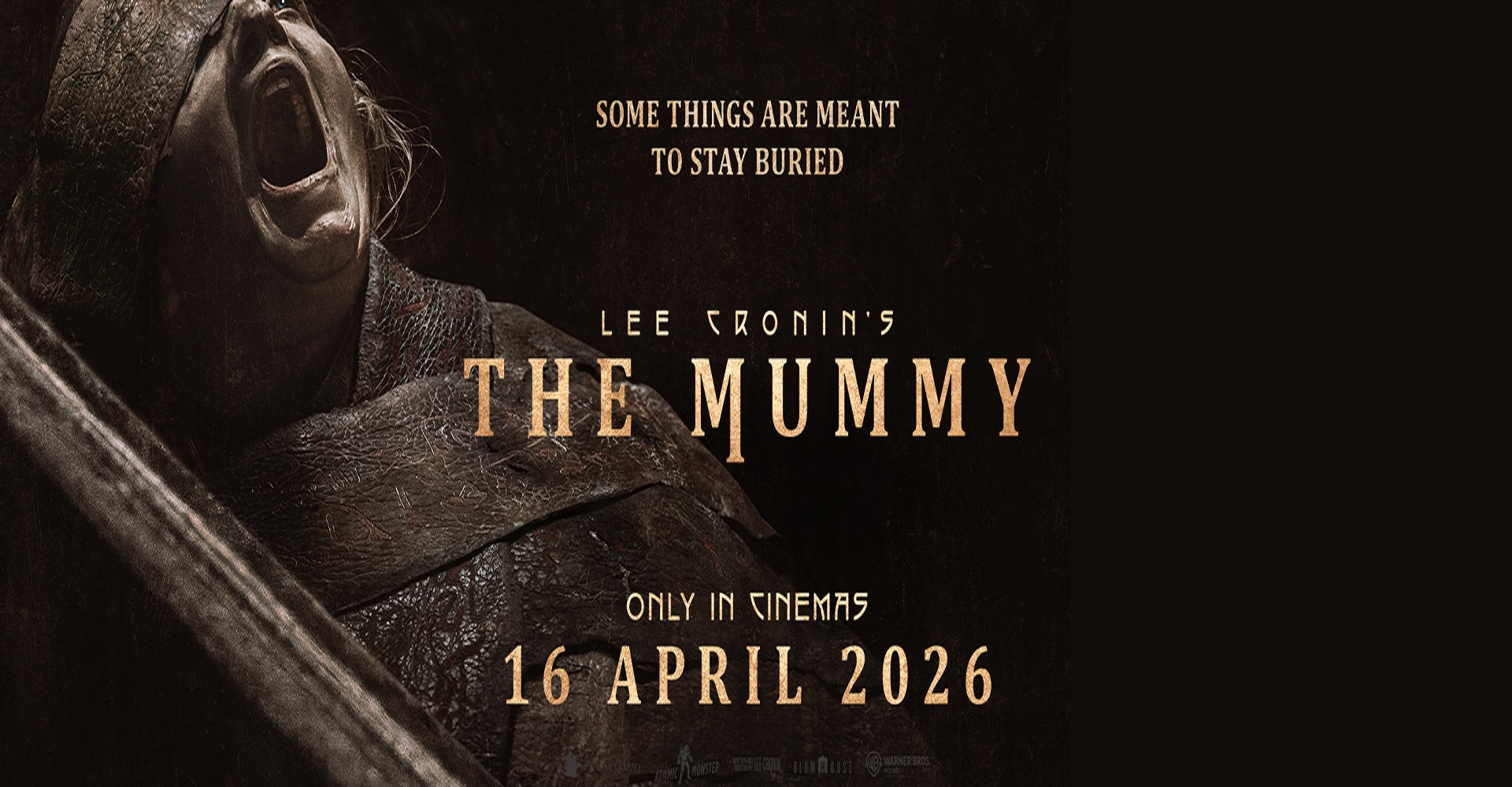 owl-carousel-video-image